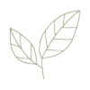 カテゴリー